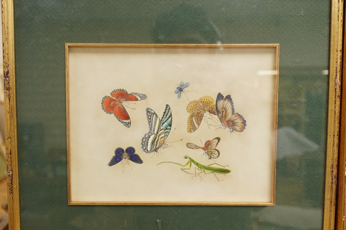 Chinese Export school, studies of butterflies and other insects, pair of watercolours on paper, 16 x 21cm